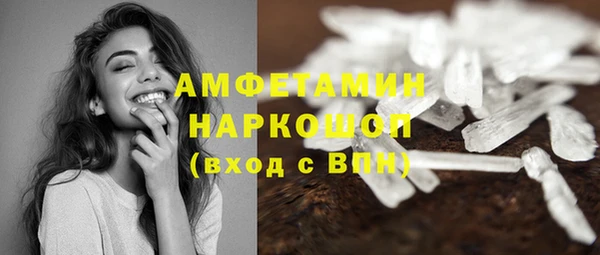 молекула духа Каменка