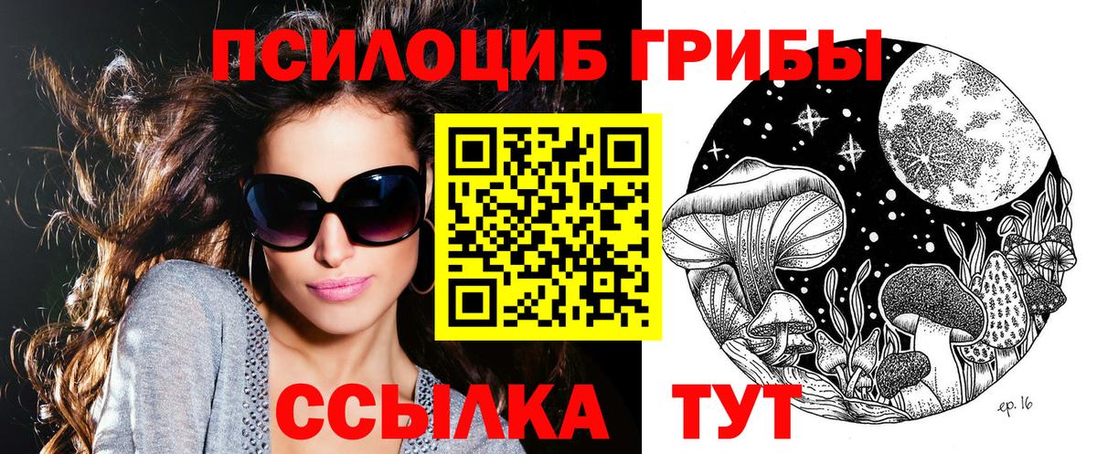 Псилоцибиновые грибы ЛСД  что такое   Тутаев  Вход с VPN 