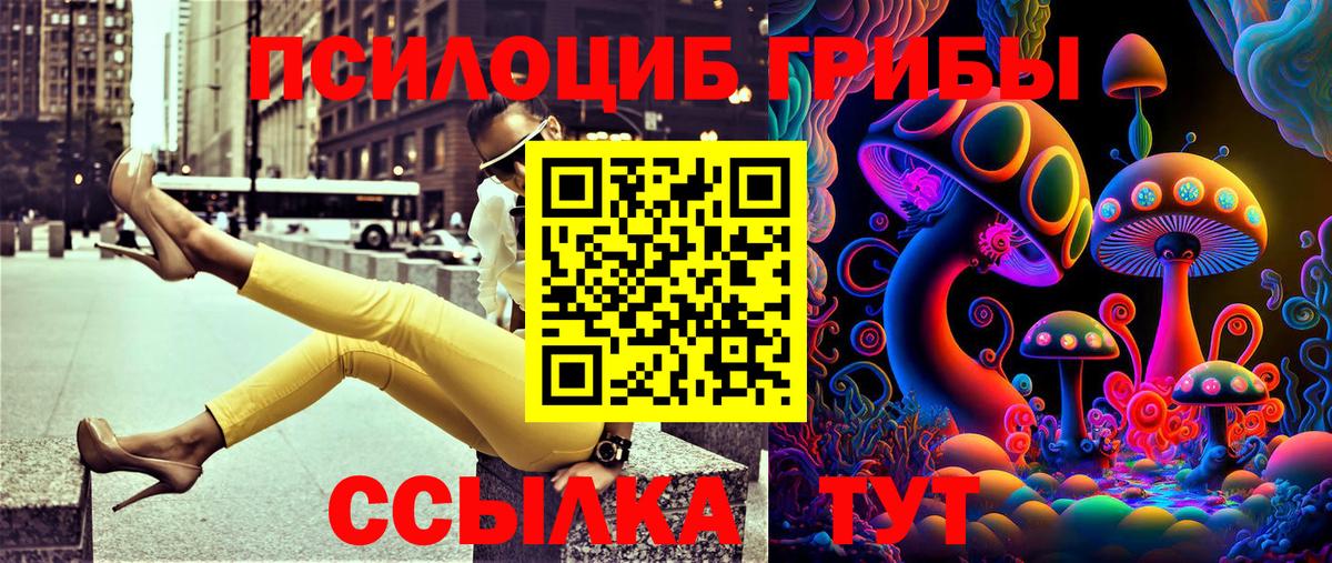 Псилоцибиновые грибы Magic Shrooms Тутаев